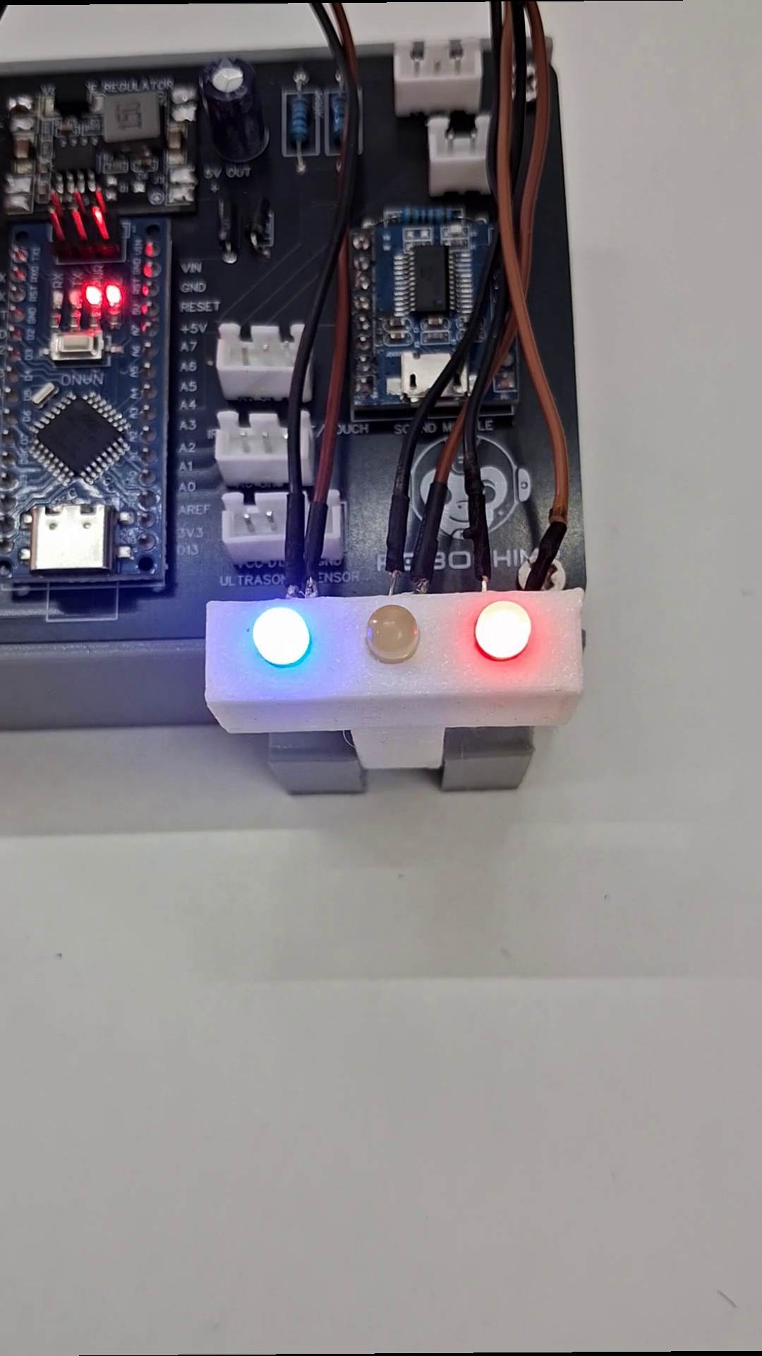 LED Control project: Arduino Nano with red and blue LEDs